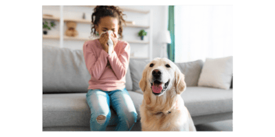 the power of pets enhancing home safety with animals 6
