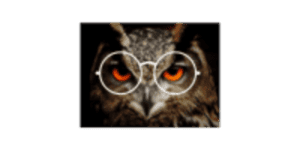 FAQs Owl 2 400 × 200 px